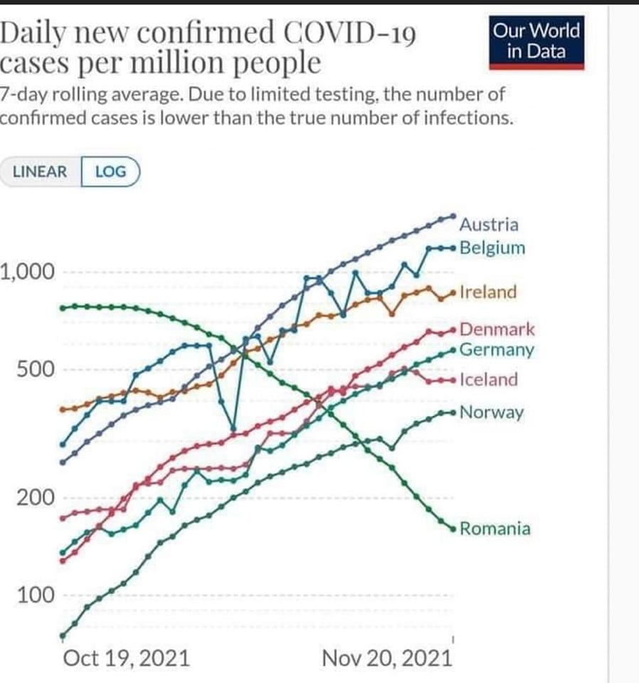 Olivia Steer: Prezumția de Vinovăție. O curbă descendentă plăcută tuturor! | ActiveNews