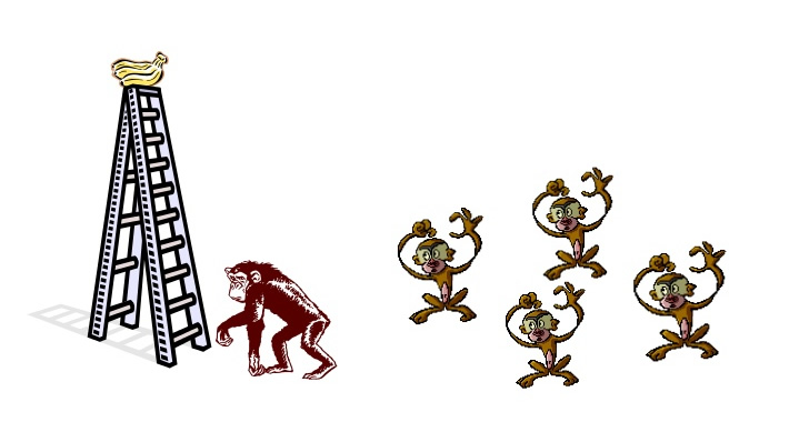 Experimentul cu 5 maimuțe. Obiceiuri sănătoase sau toxice? - MARKᴇᴛPEDIA.ro