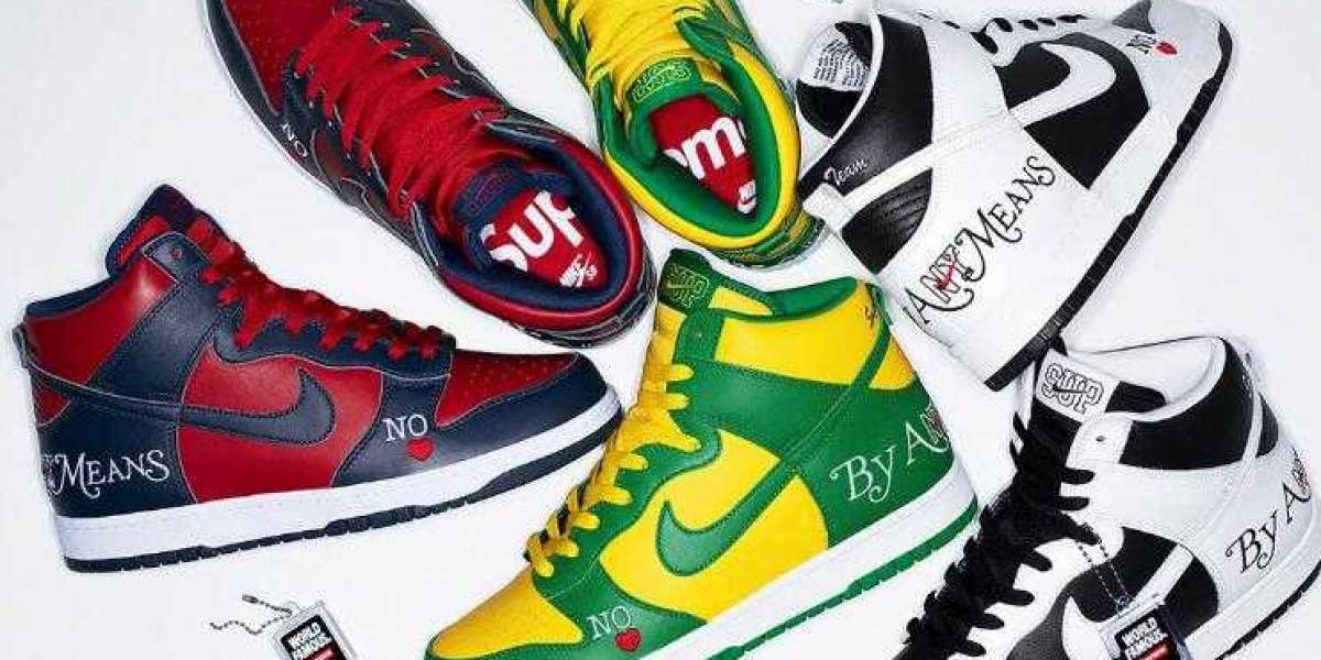 The Supreme x Nike SB Dunk High By Any Means