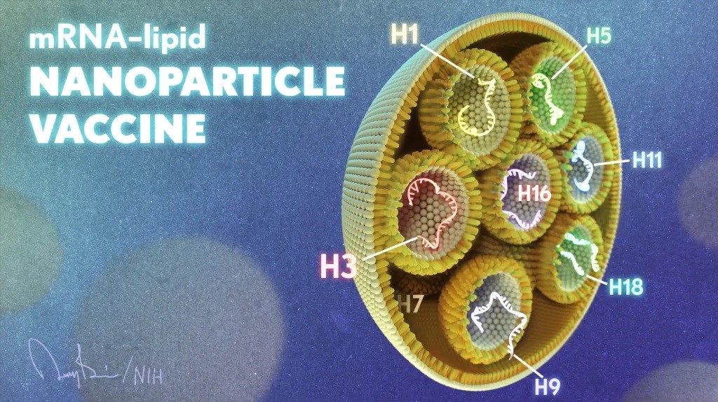 Un nou vaccin ARNm, în faza experimentală. Institutul Național de Sănătate din SUA anunță apariția vaccinului antigripal multivalent, bazat pe acceași tehnologie ca vaccinurile anticovid | ActiveNews