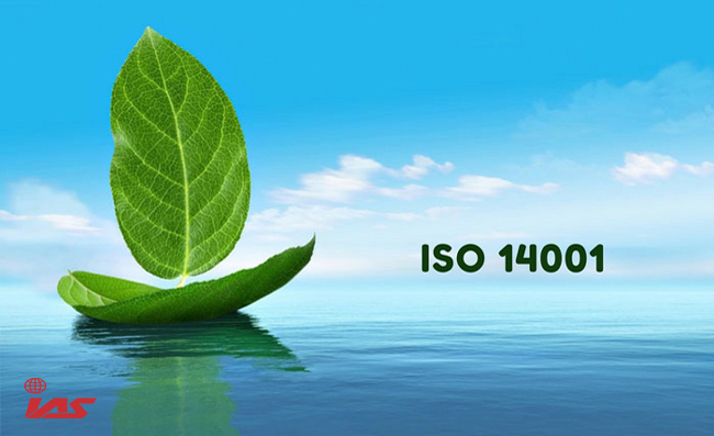 ISO 14001 certification | ISO 14001 certification in India