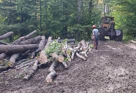 Logging and Watershed Control: Protecting Water Quality