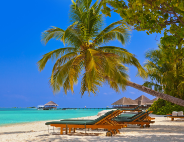 How much is the 5 days Maldives tour packages? - Blogs