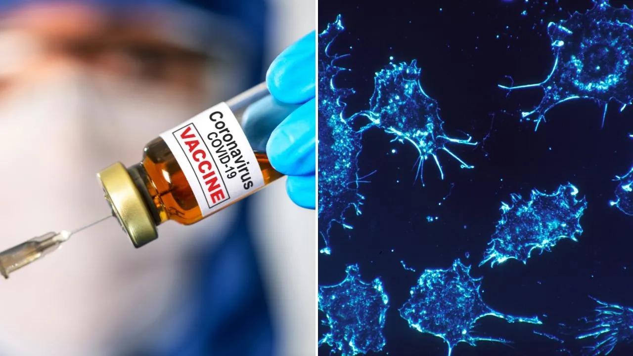 Fenomenul care ia amploare: Cazurile de cancer diagnosticate la persoane sub 50 de ani au crescut, la nivel global, cu 79% | ActiveNews