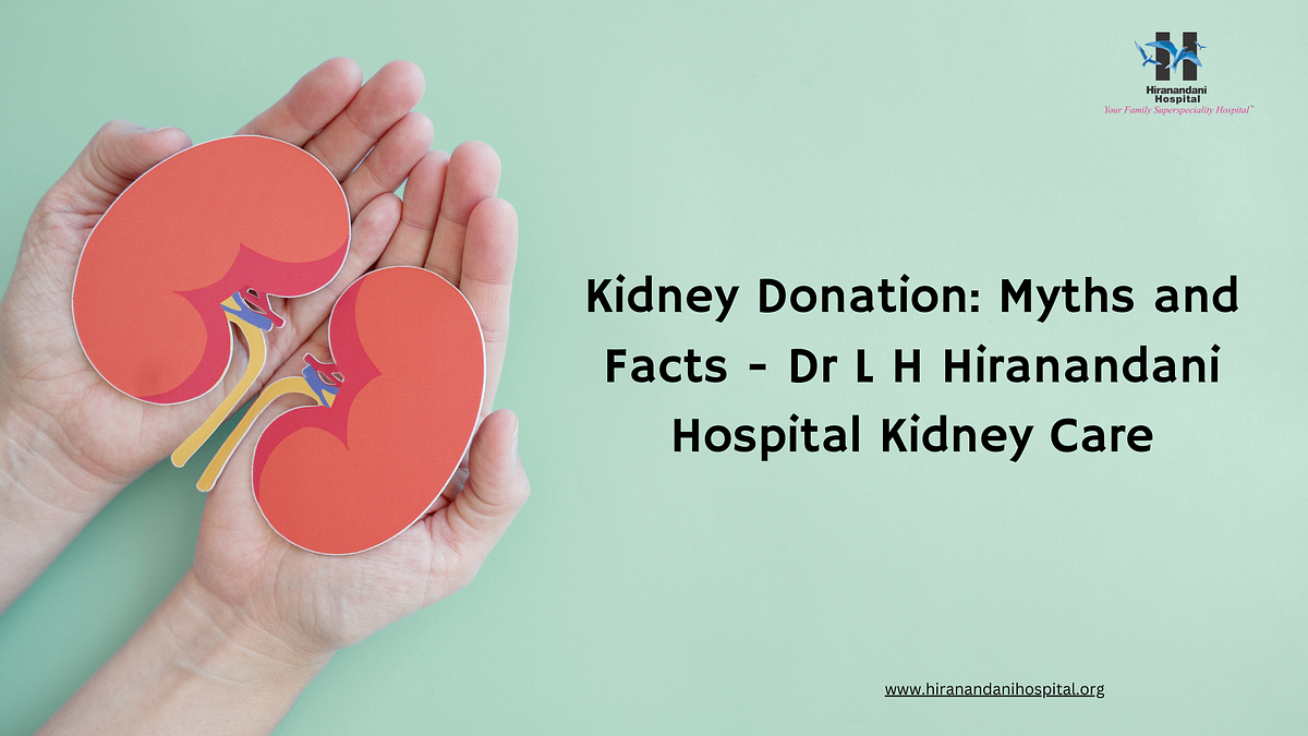 Kidney Donation: Myths and Facts — Hiranandani Hospital Kidney Care | by Hiranandani Hospital Kidney | Apr, 2024 | Medium