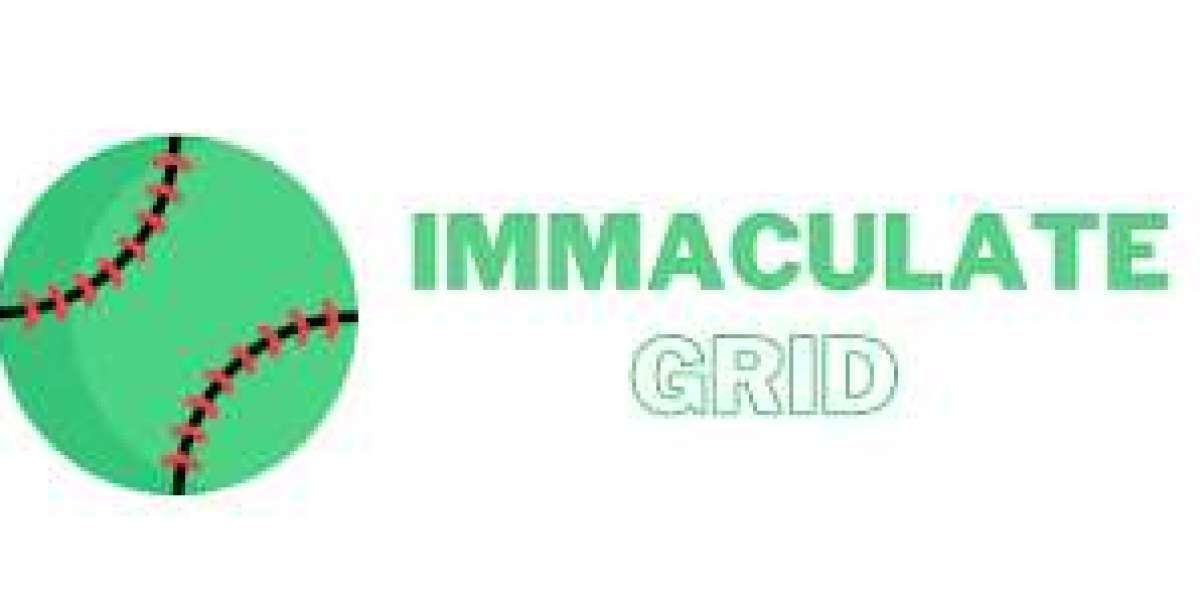 Cracking The Code – Inside The Thrilling World of Immaculate Grid Game
