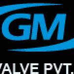 G M Valve Private Limited