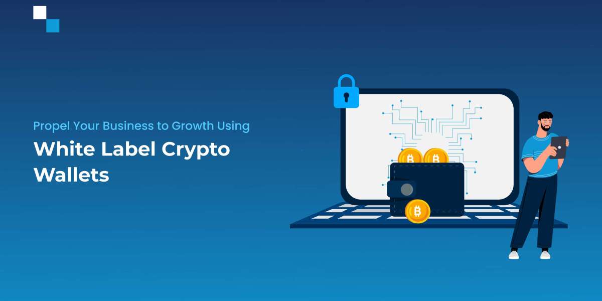 Merchant Guide to Fast Track Business Success with White Label Crypto Wallet