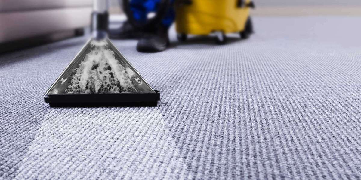 The Health and Aesthetic Benefits of Expert Carpet Cleaning