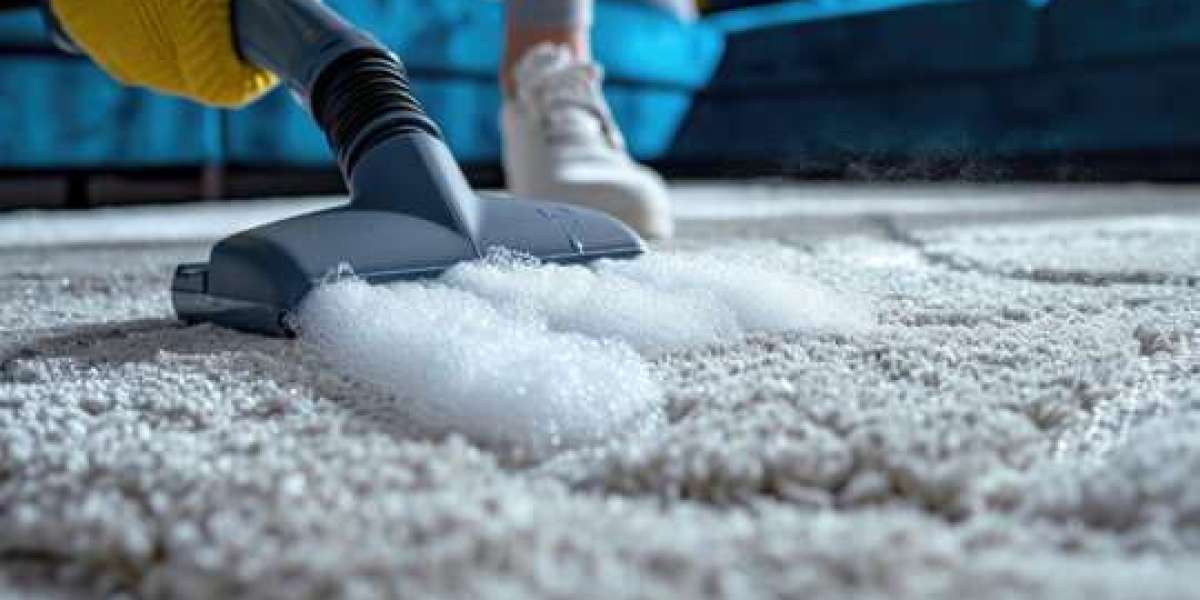 Professional Carpet Cleaning: Essential for a Healthy Home