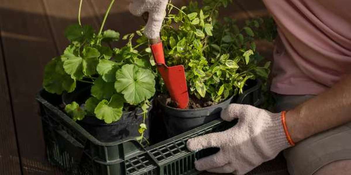 Self-Watering Herb Planter Box with Trellis