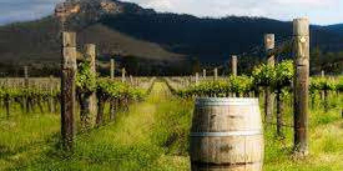 Best Winery Hunter Valley