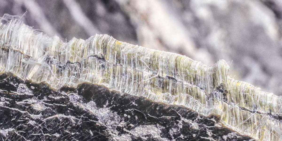 Understanding Asbestos Management: How to Safeguard Your Property in New Zealand