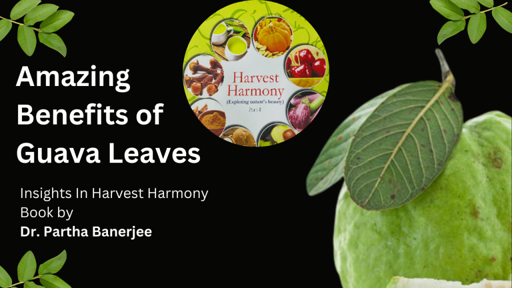 Amazing Benefits of Guava Leaves: Insights in Harvest Harmony