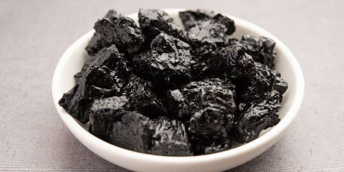 Shilajit: Discover the Ancient Remedy for Modern Health Issues