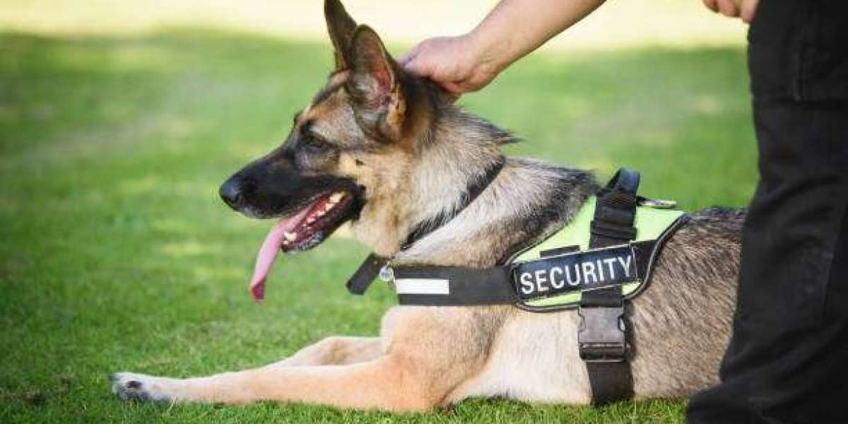 Security dogs in London with Professional Security Dog Services