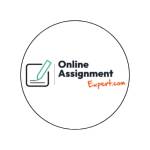 online assignment expert