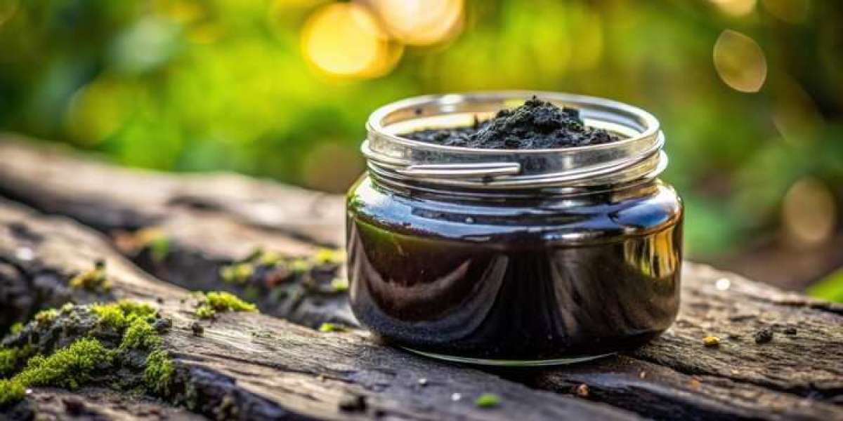 Pure Shilajit: Nature’s Answer to Modern Health Challenges