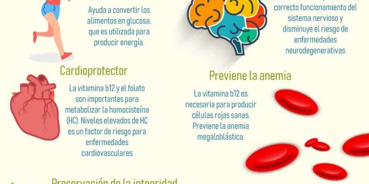 Qué es la biotina y para qué sirve Conoce a la vitamina de la belleza y cómo nos beneficia