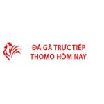 Đá Gà Trực Tiếp Thomo Hôm Nay