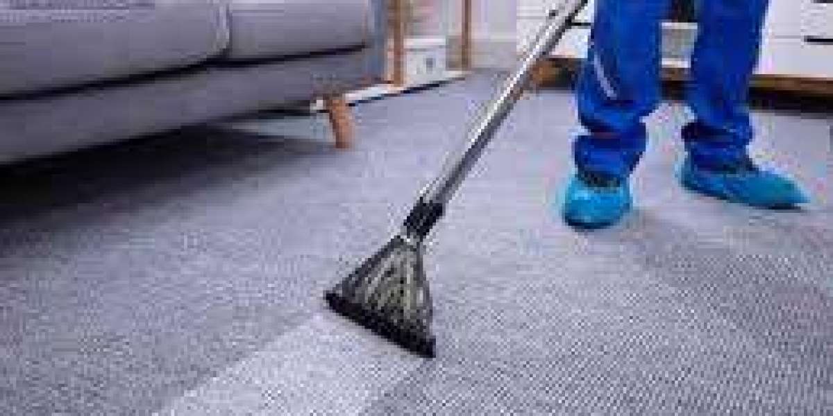 Professional Carpet Cleaning: The Ultimate Hygiene Solution for Homes