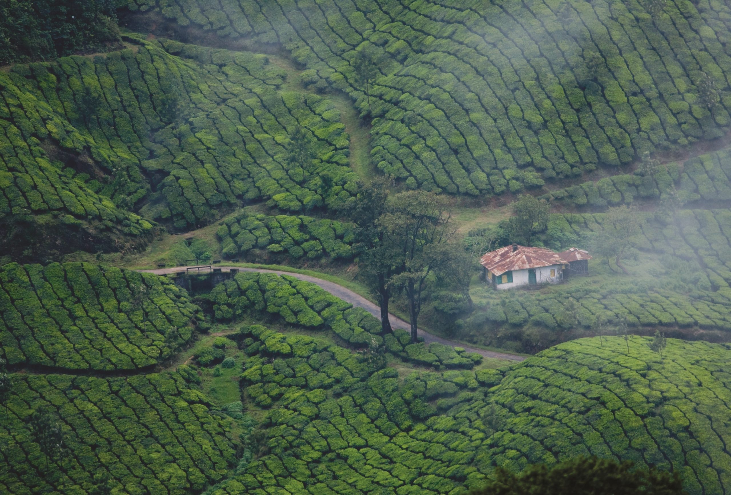 Explore the Best Kerala Tour Packages - Aaikaa Travels