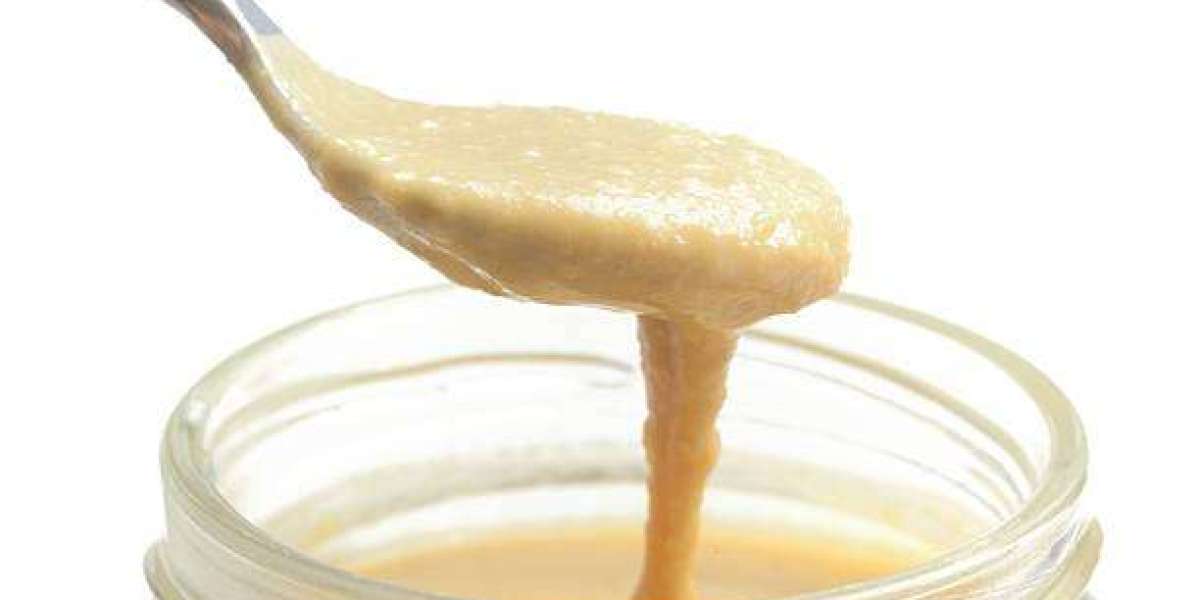 Tahini Market Size and Share 2032: Research Demand, Market Dynamics, and Forecast