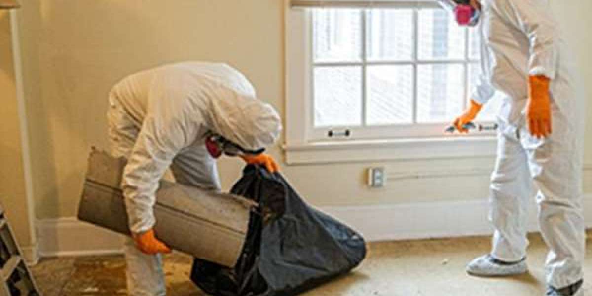 Top 5 Benefits of Professional Deep Cleaning in Poole