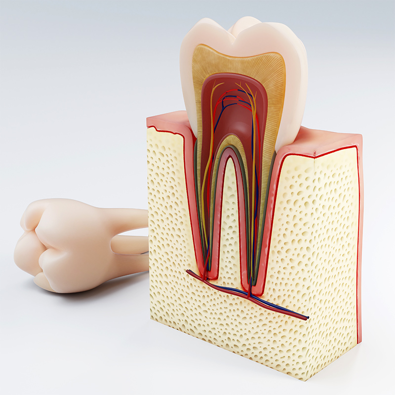 Best Root Canal Treatment in Abu Dhabi | Root Canal Treatment