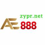 zyprnet