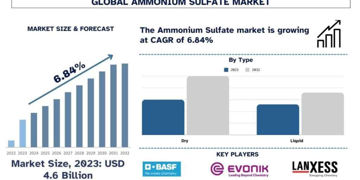 Ammonium Sulfate Market Analysis of Size, Growth and Forecast to 2028