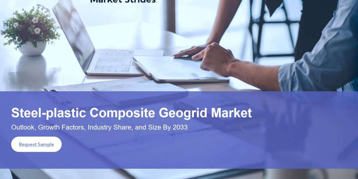 Steel Plastic Composite Geogrid Market Analysis 2025-2033: Demand, Innovation, and Competitive Landscape