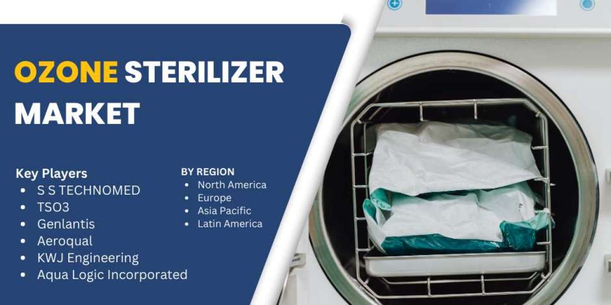 Ozone Sterilizer Market Analysis 2025-2033: Demand, Innovation, and Competitive Landscape