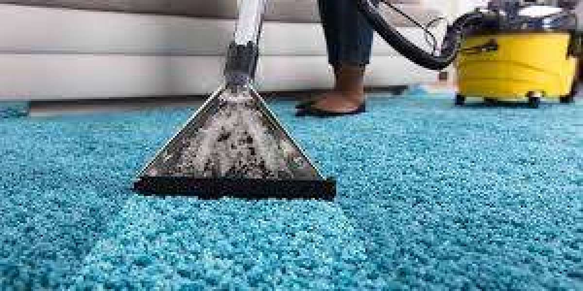 Elevate Your Home’s Air Quality with Carpet Cleaning