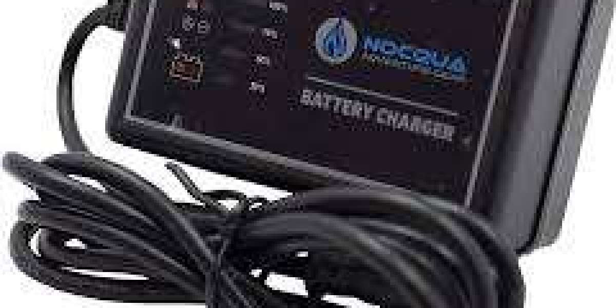 10 Tips for Maintaining Your Nocqua 10ah Battery