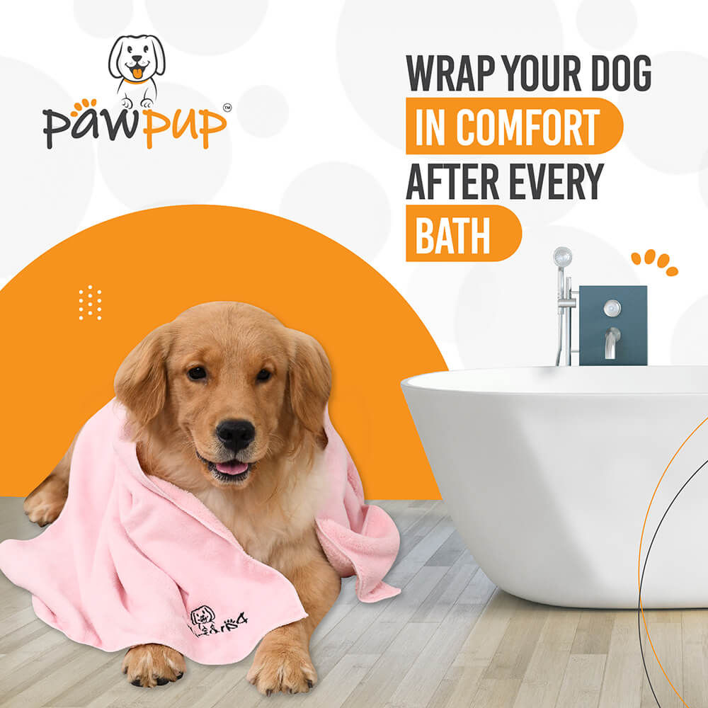 5 Ways Dog Towels Are Better Travelling Partners Than Other Travelling Companions | PAWPUP