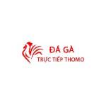 Đá Gà Trực Tiếp Thomo Hôm Nay