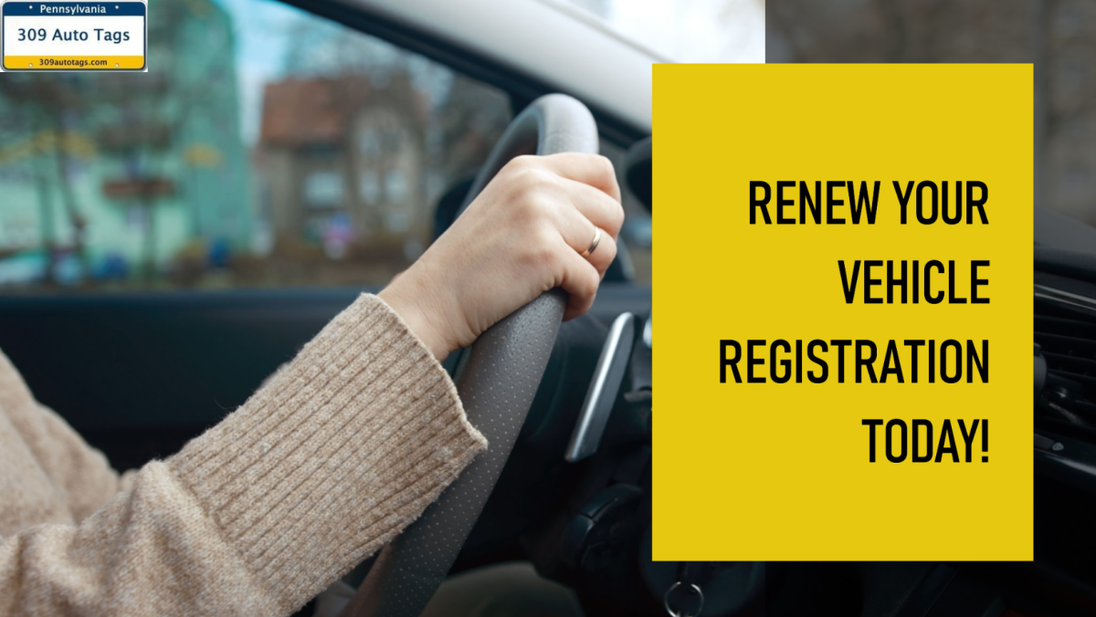 Quick, Easy, and Local: Renew Your Vehicle Registration & Get Notarized Today! – Tyler Harrison