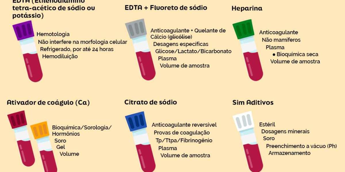 Identificando a Origem da Sensibilidade na Pele do Seu Pet Através da Citologia