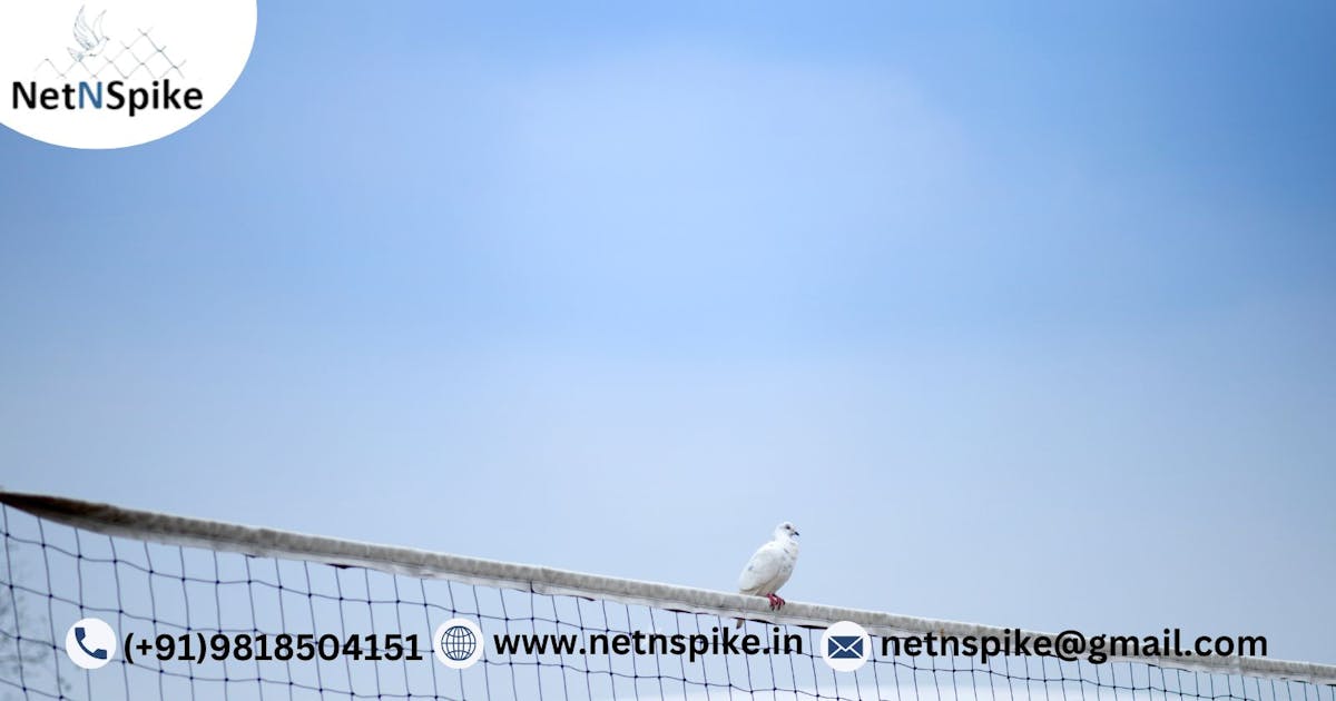 Keep Birds Away With Durable Bird Spikes From Netnspike