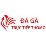 Đá Gà Trực Tiếp Thomo Hôm Nay