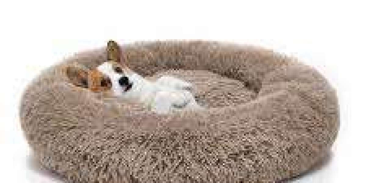 Dog Beds: The Ultimate Comfort for Your Furry Friend