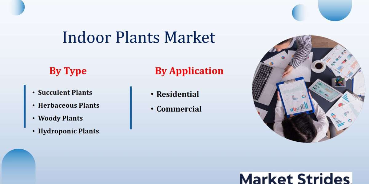 Indoor Plants Market Size, Share, and Forecast: Industry Outlook 2025-2033