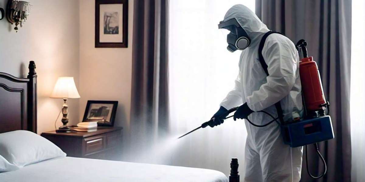 Professional Termite Control and Bed Bug Spray Services