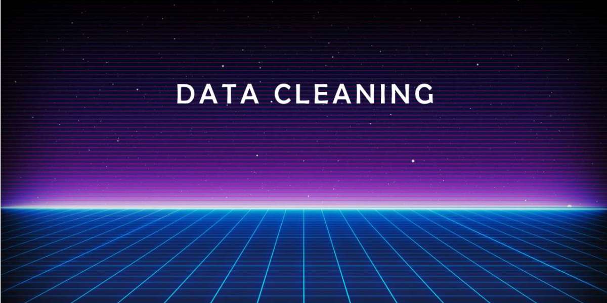 What is the Meaning of Thesis Data Cleaning and Sorting?