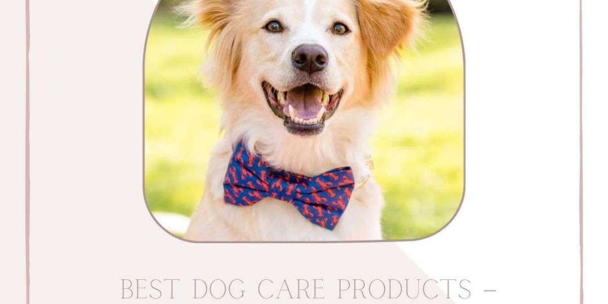 Best Dog Care Products – Must Haves for Your Pet