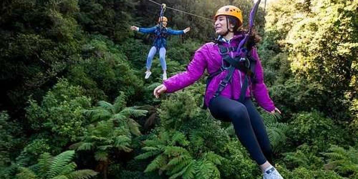 Why a Zipline Tour is a Must-Do Adventure in Rotorua