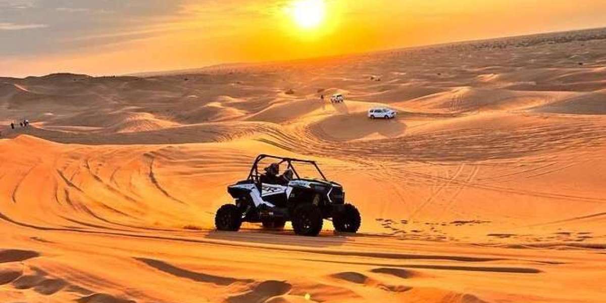 Morning Desert Safari in Dubai – The Perfect Start to Your Day