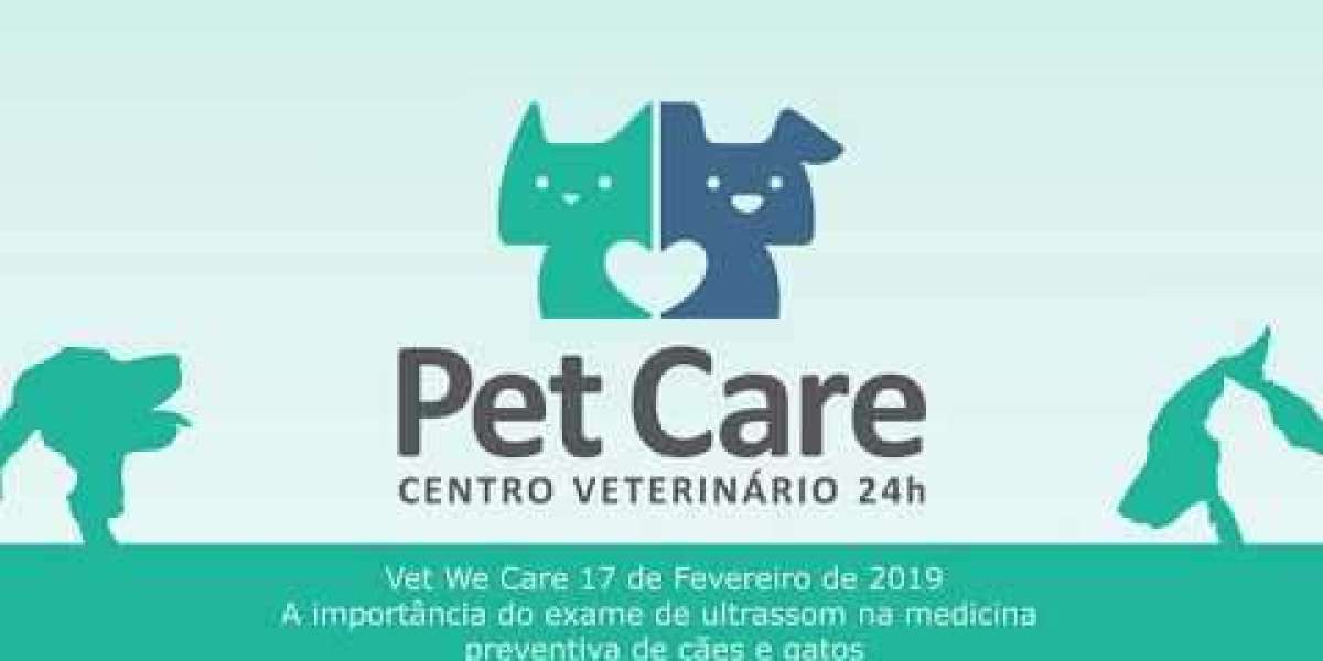 Entendendo a Doença Renal Crônica em Pets: Como o Exame SDMA Pode Fazer a Diferença