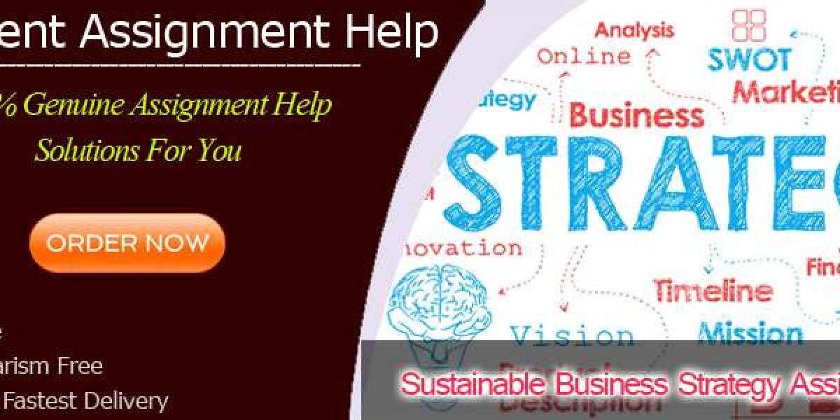 How to Write a Sustainable Business Strategy Assignment